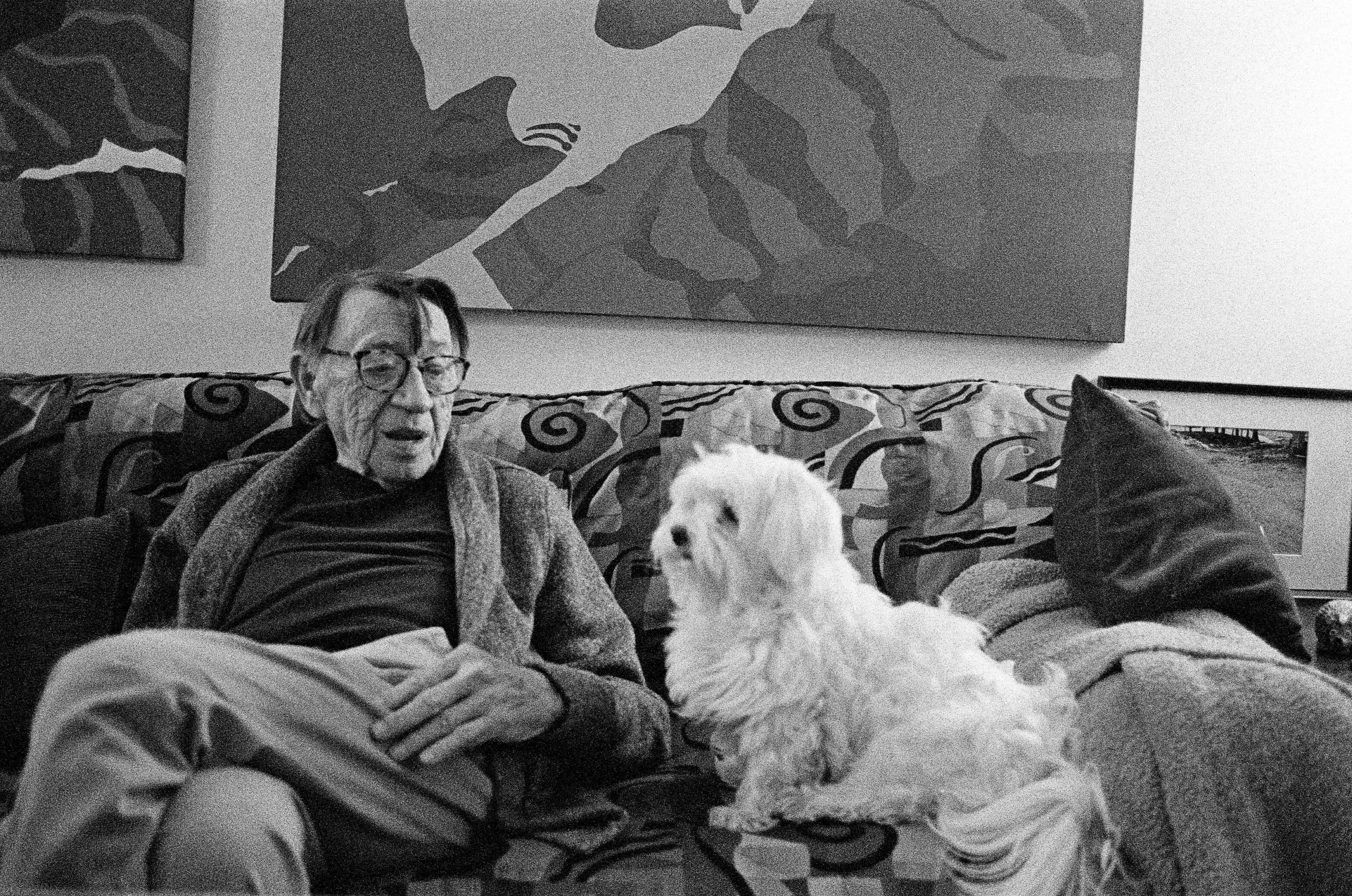 Kodak T-Max P3200 - Image 2