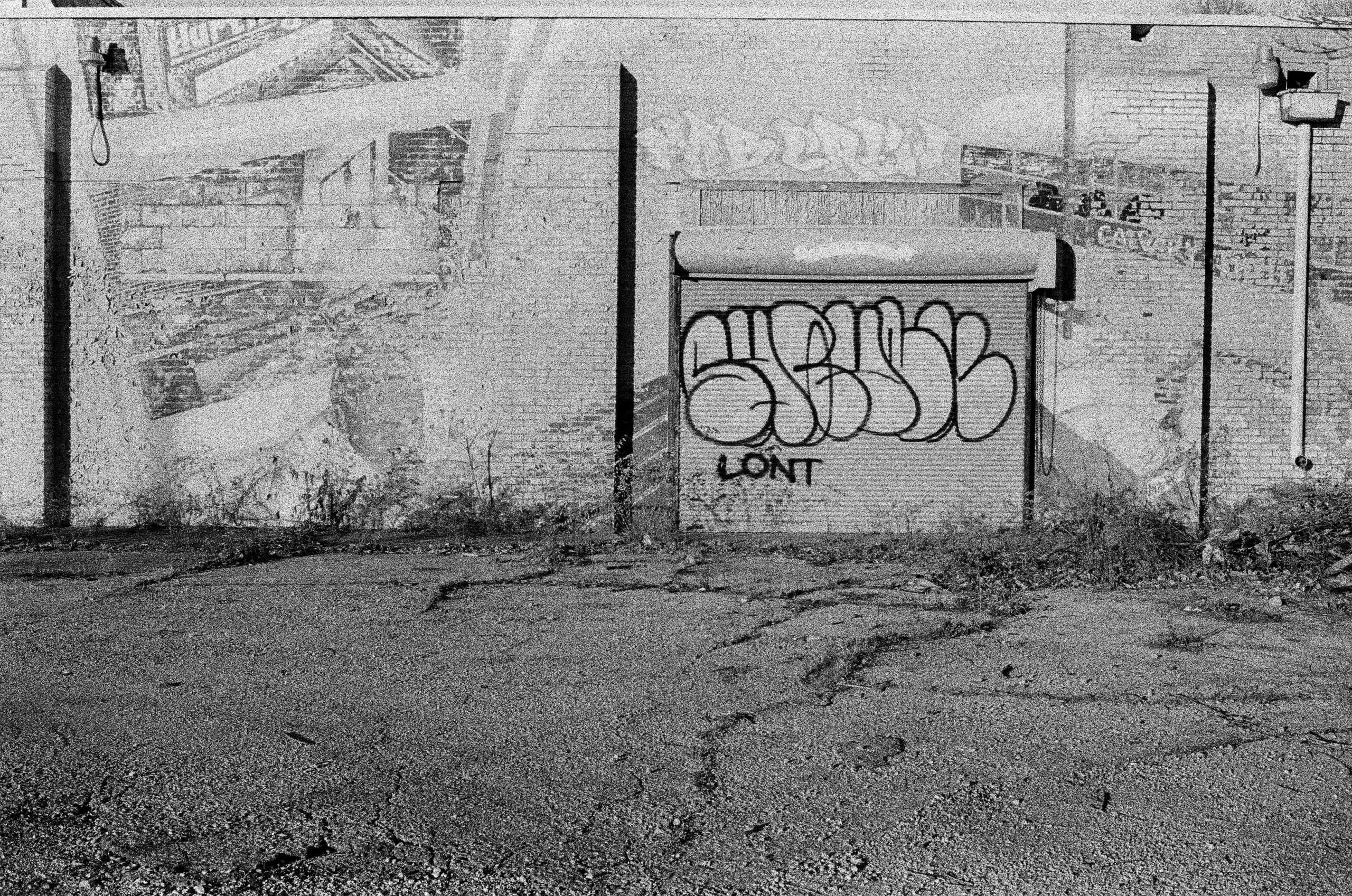 Kodak T-Max P3200 - Image 3