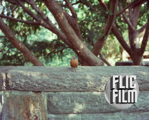 Flic Film