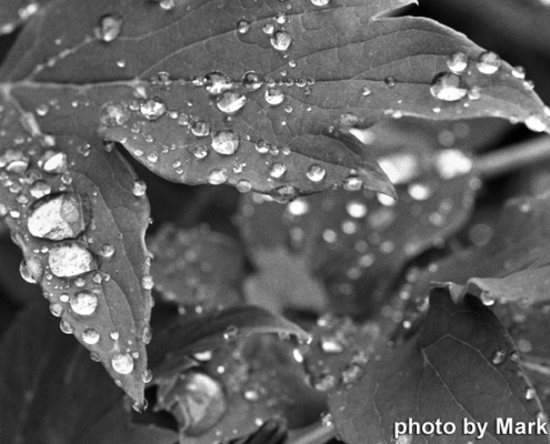 JekyllHyde_Obrien_2_