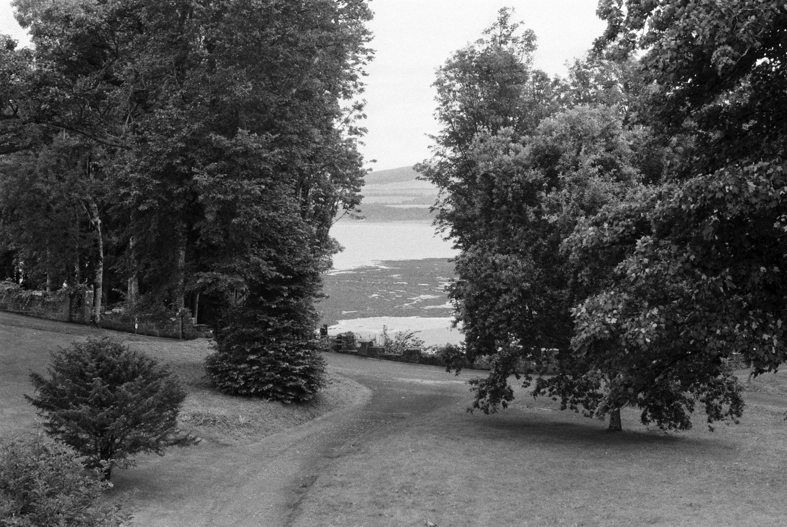 Kentmere Pan 400 - Image 3