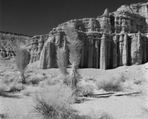 SFX200_120_BirgitBuchart_05_IRfilter