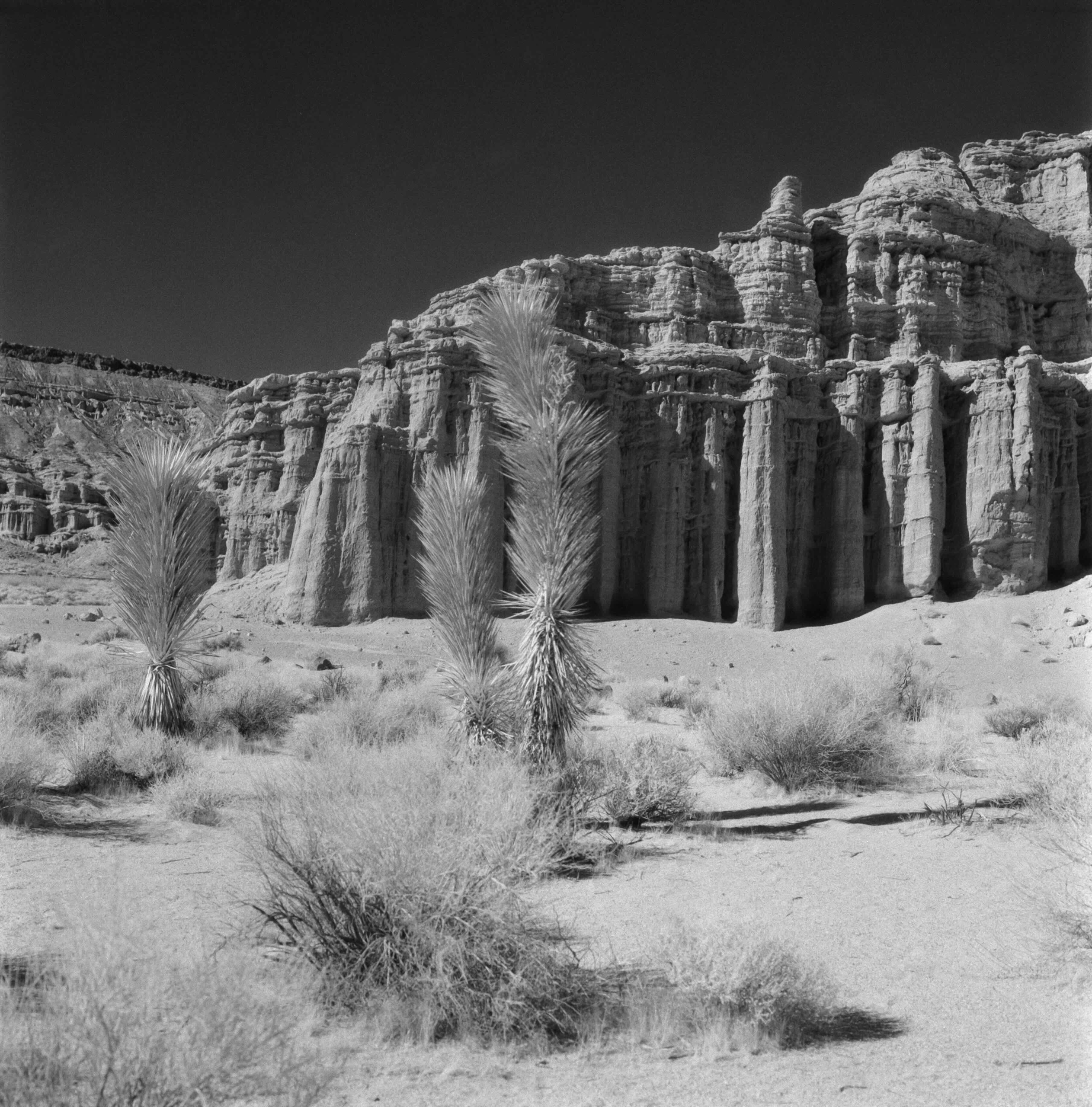 ILFORD SFX 200 - Image 4