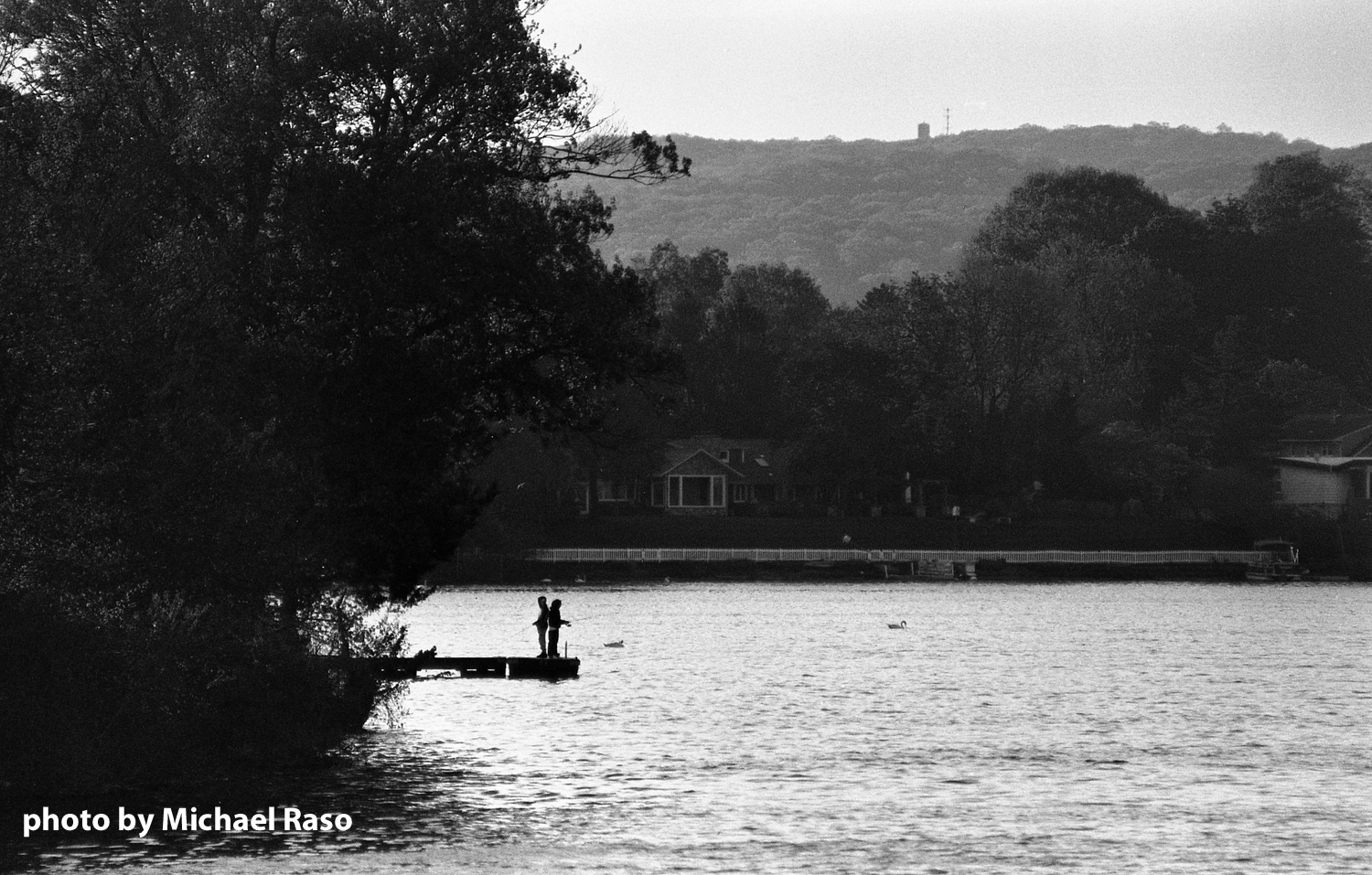 FPP B&W X-Ray Film - Image 2