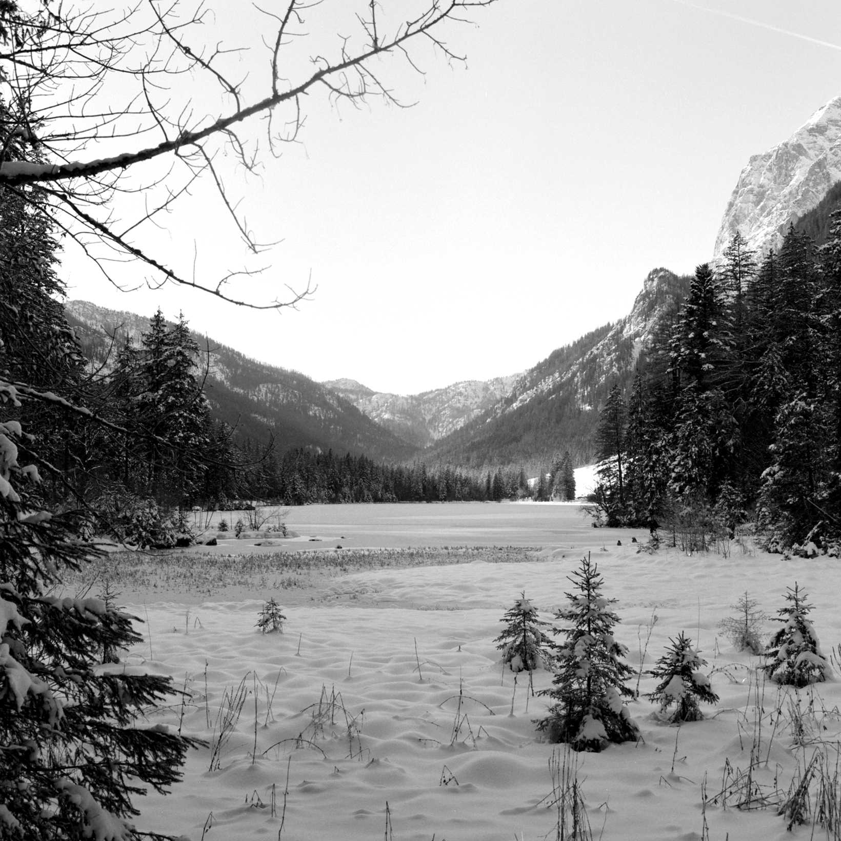 Flic Film Orange Filter - Image 3