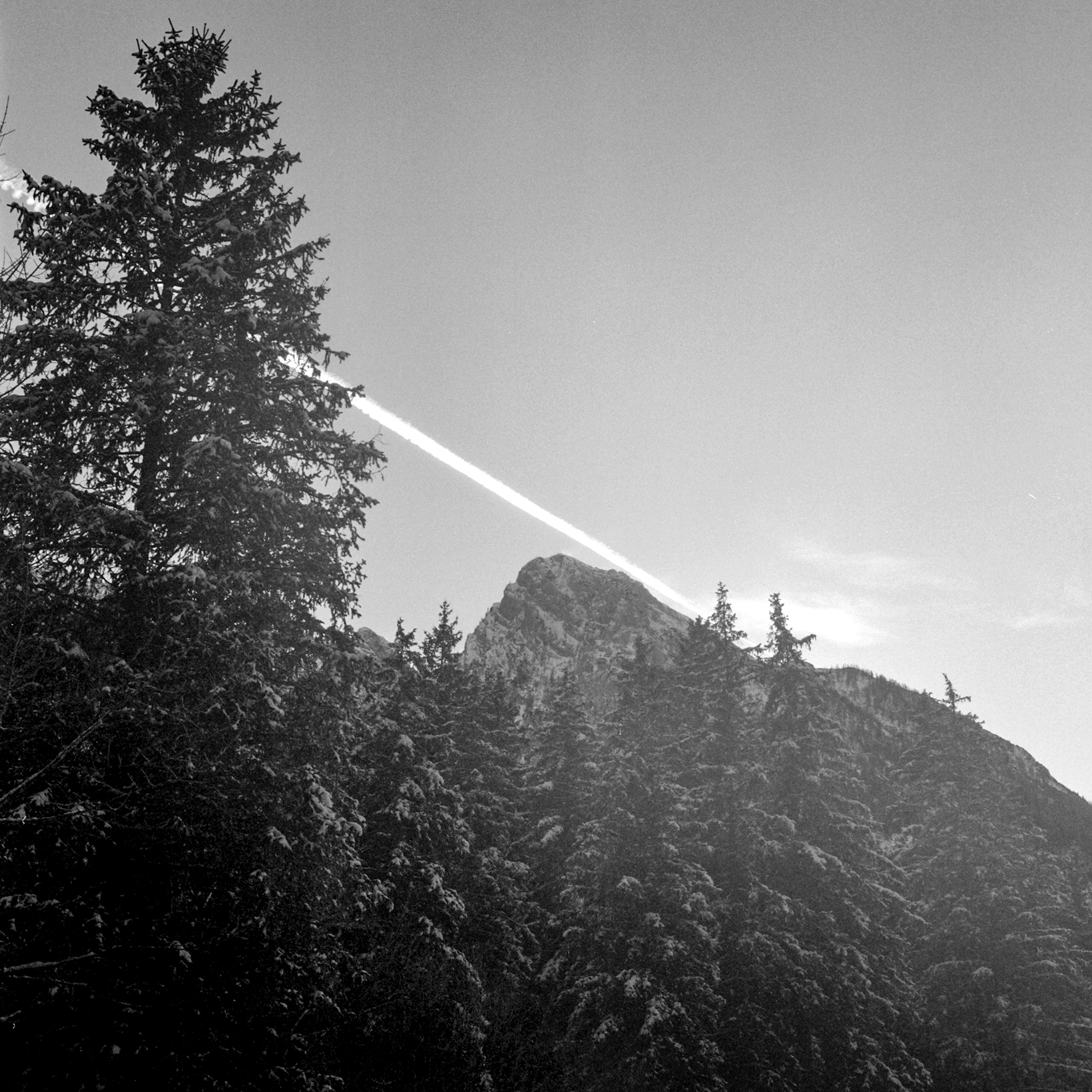 Flic Film Yellow Filter - Image 4