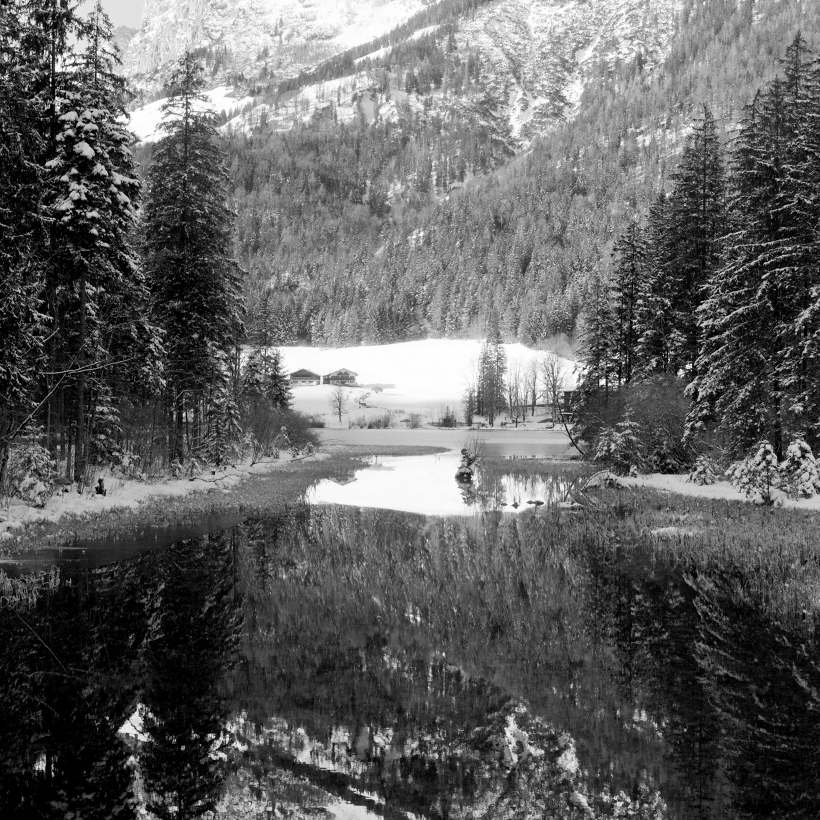 Flic Film Yellow Filter - Image 3