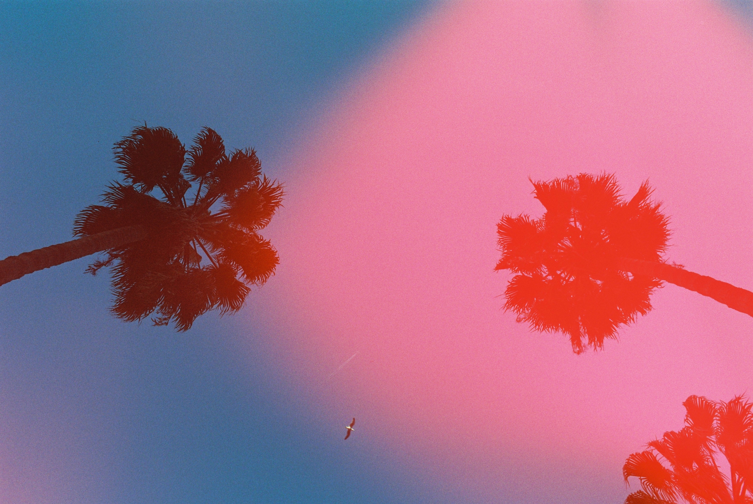 dubblefilm - Solar 200 - Image 3