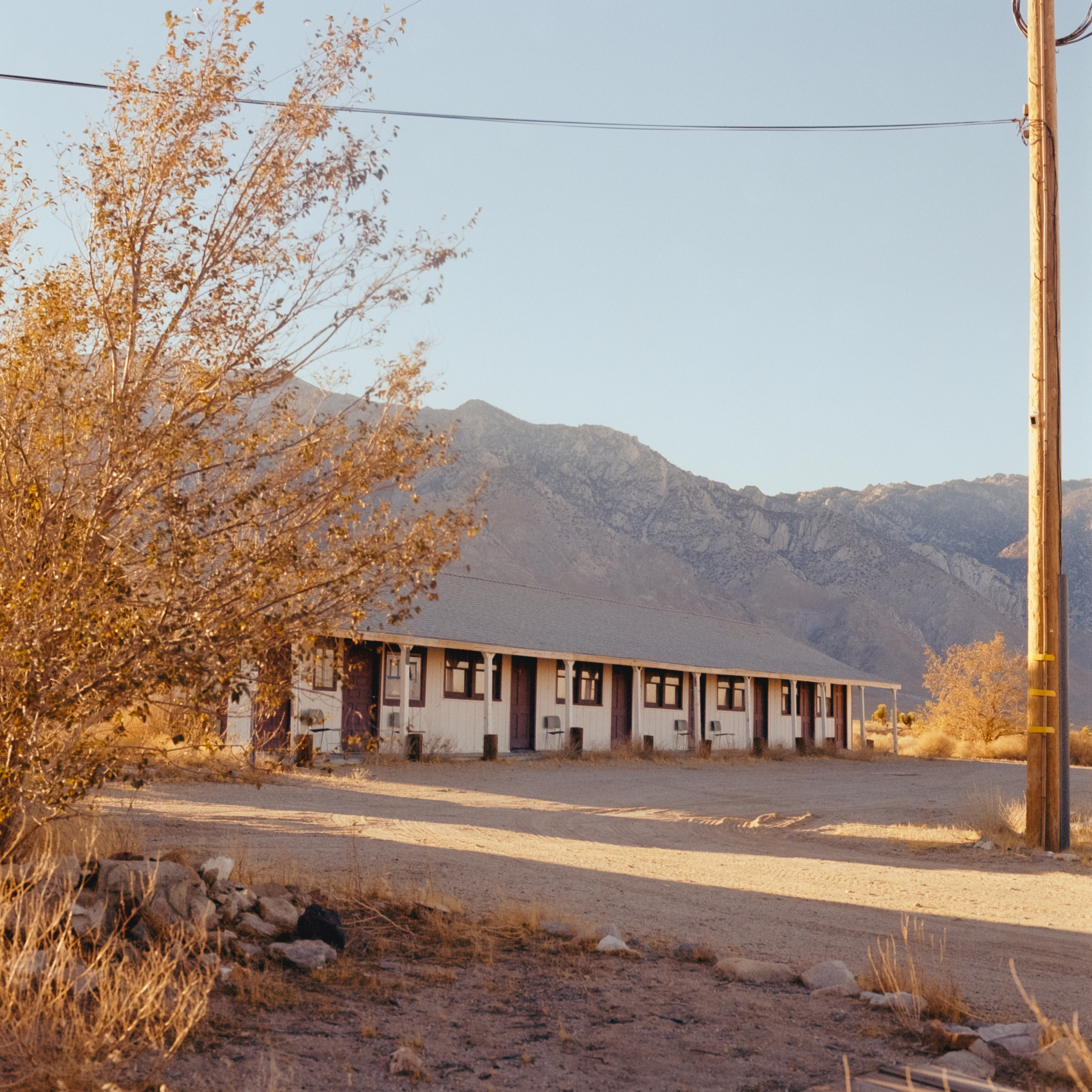 Kodak Professional Portra 400 - Image 2