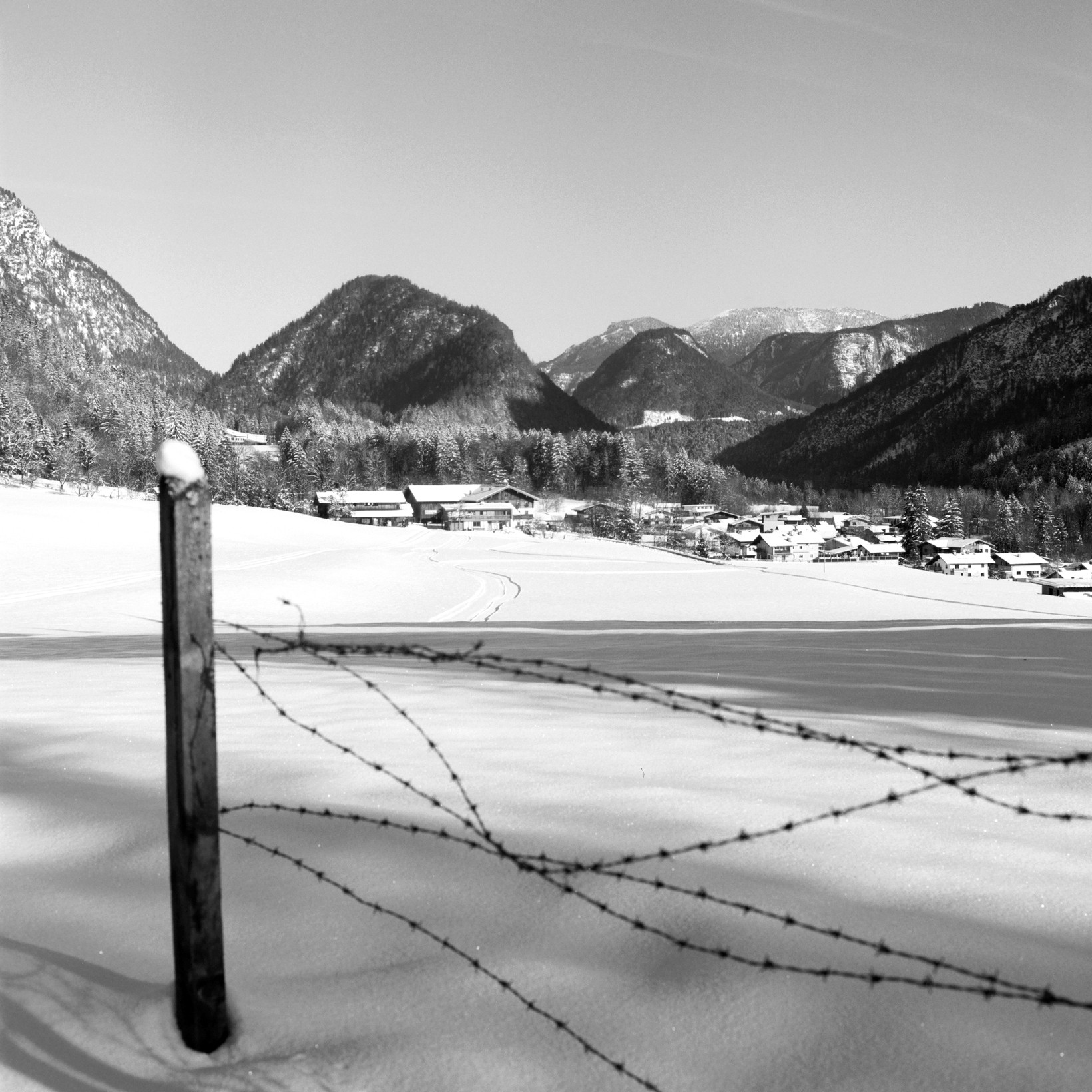 Kodak Professional T-Max 100 - Image 4