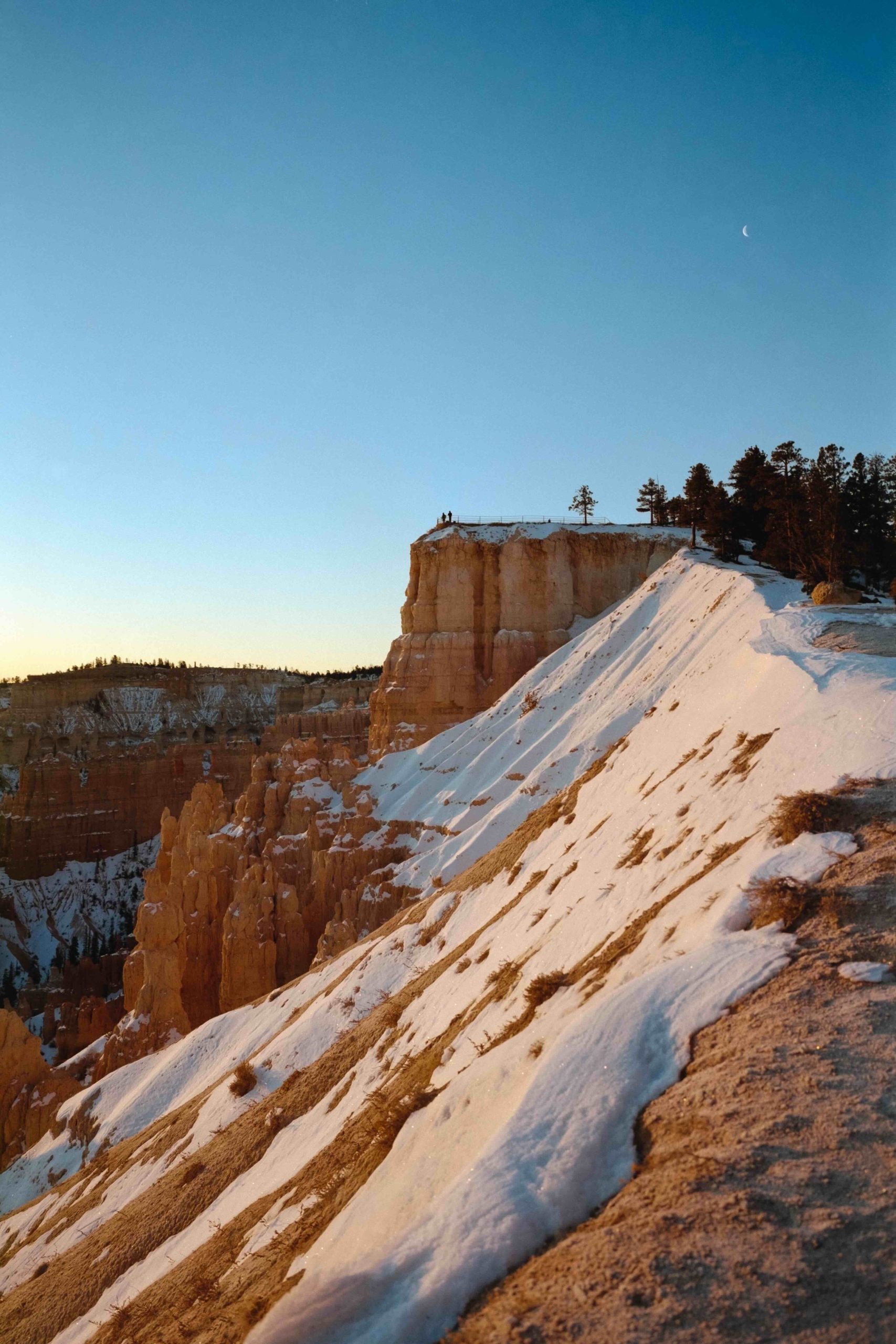 Kodak Professional Portra 400 - Image 4