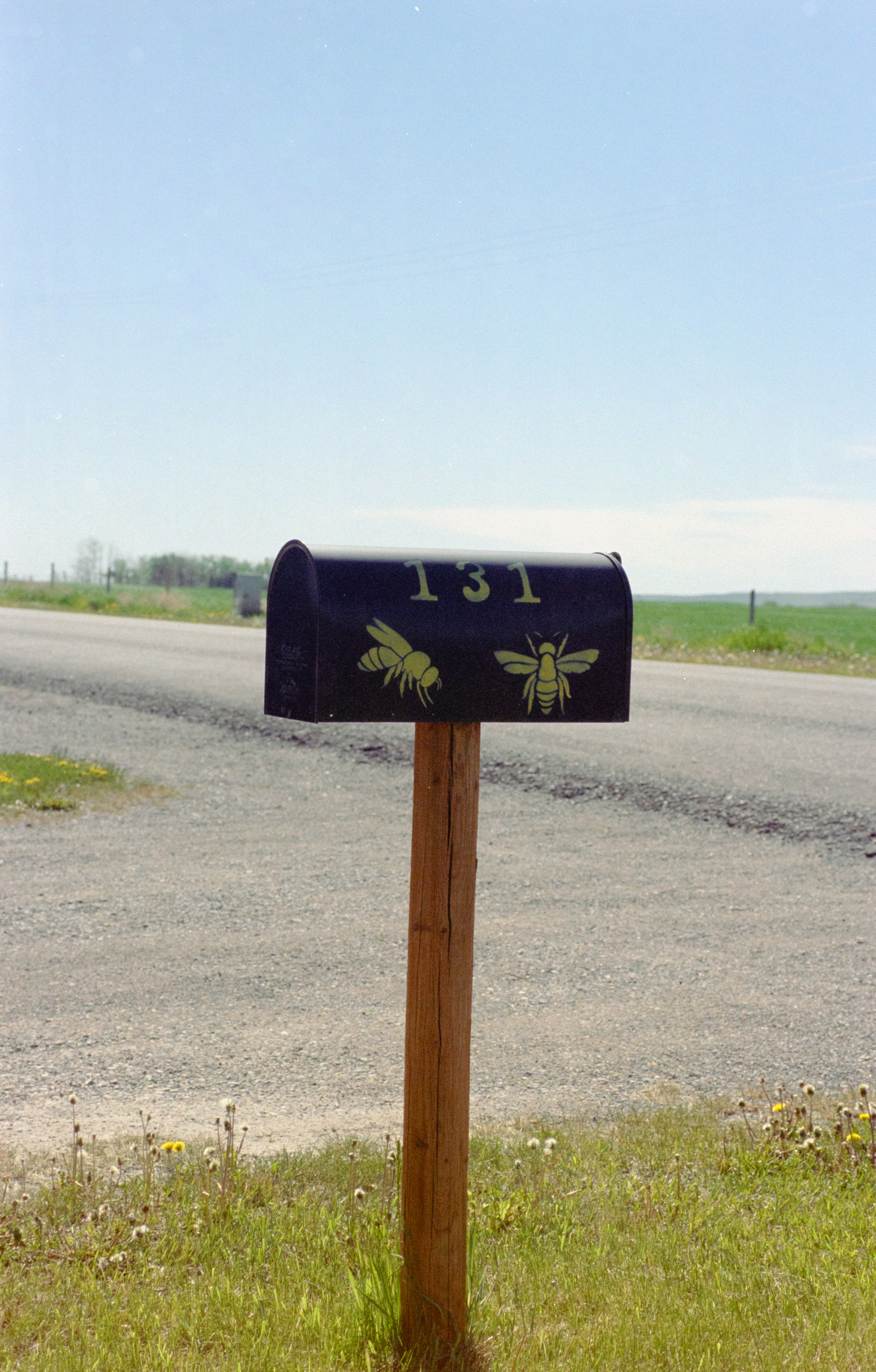 Flic Film 200T - Image 3