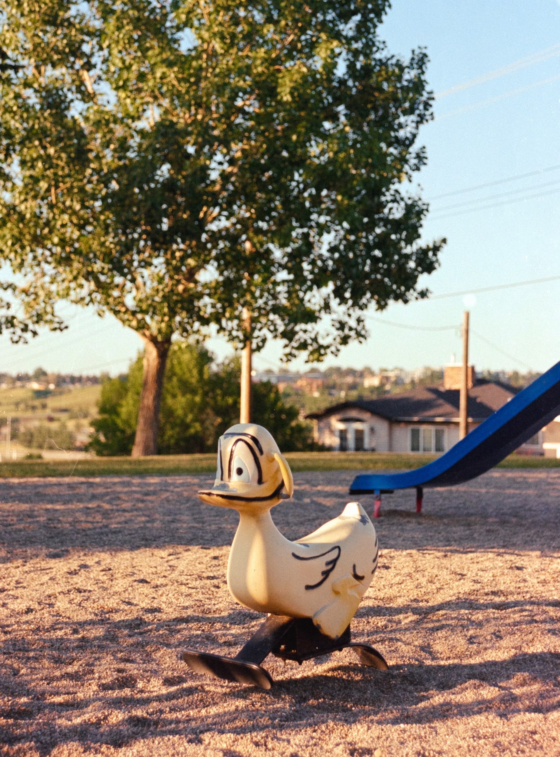 Flic Film 250D - Image 2