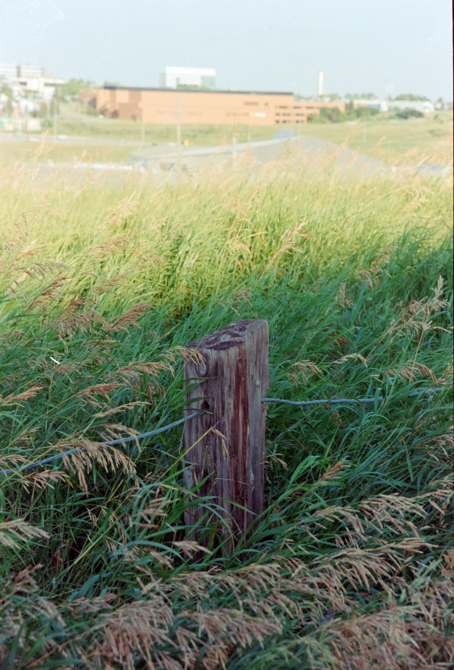 Flic Film 250D - Image 3