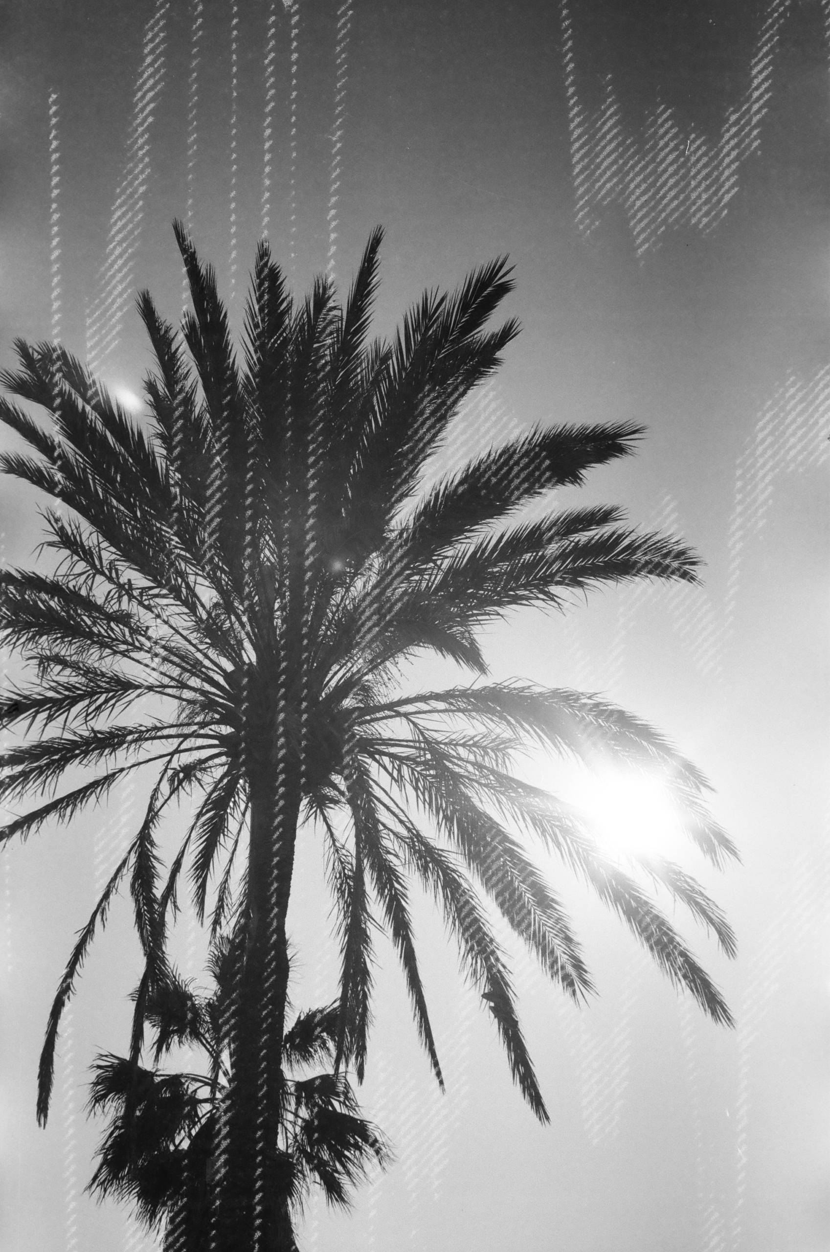 dubblefilm - Glitch - Image 2