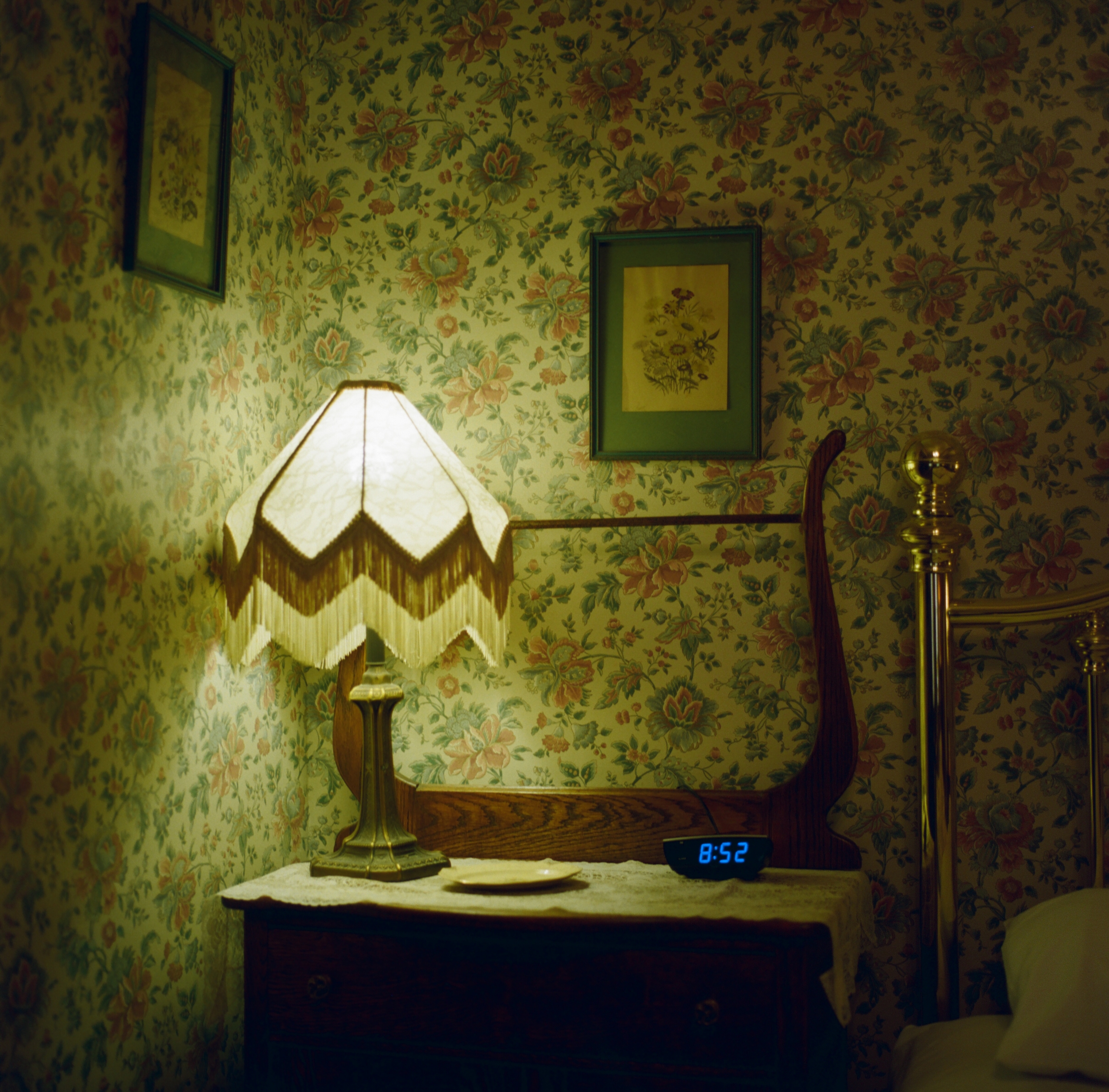 Kodak Professional Portra 800 - Image 2