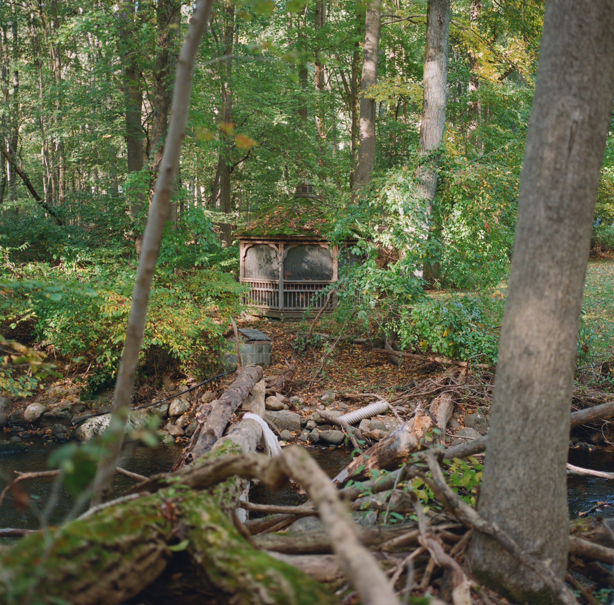 Kodak Professional Portra 800 - Image 4