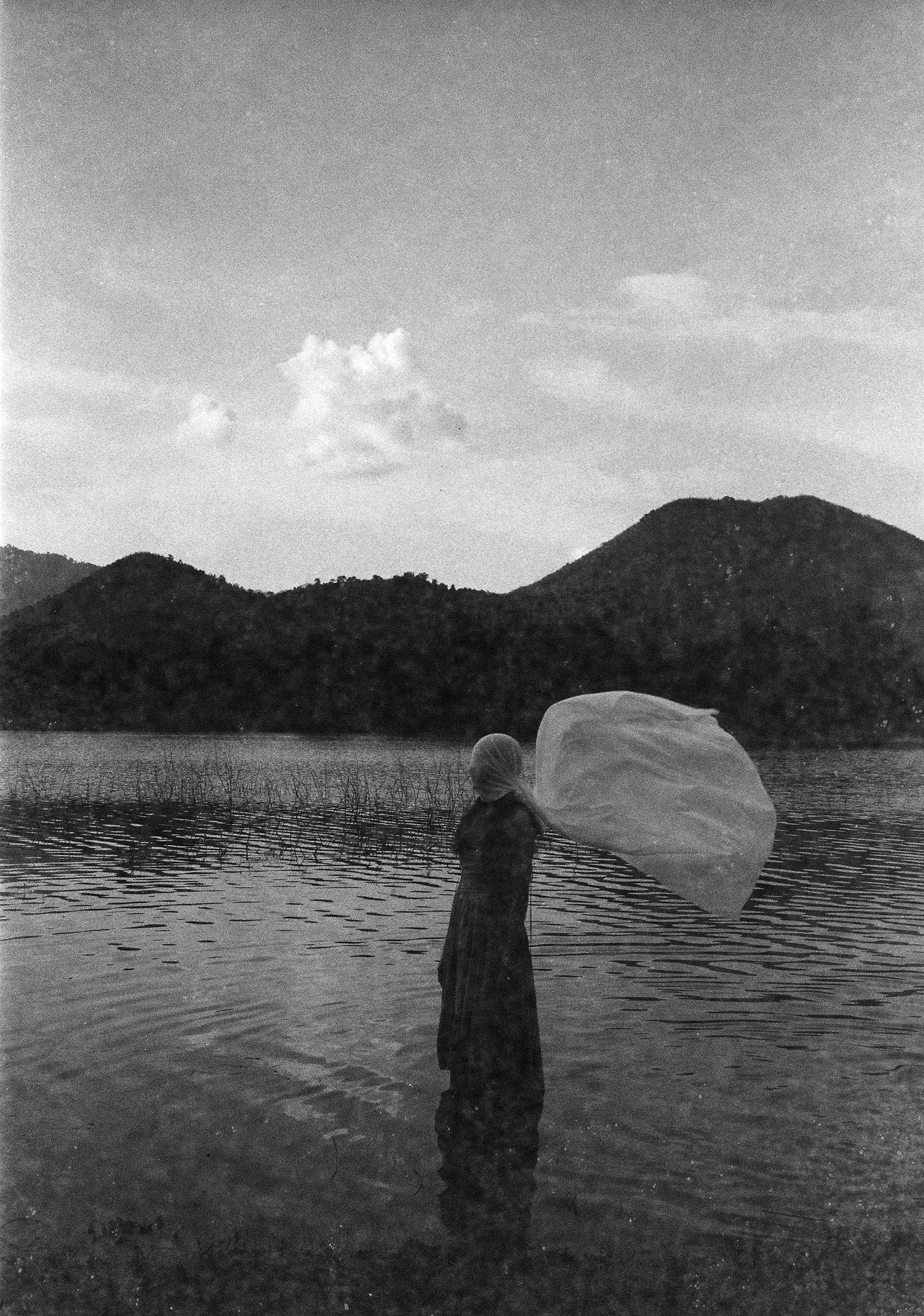 revolog Paper 400 - Image 2