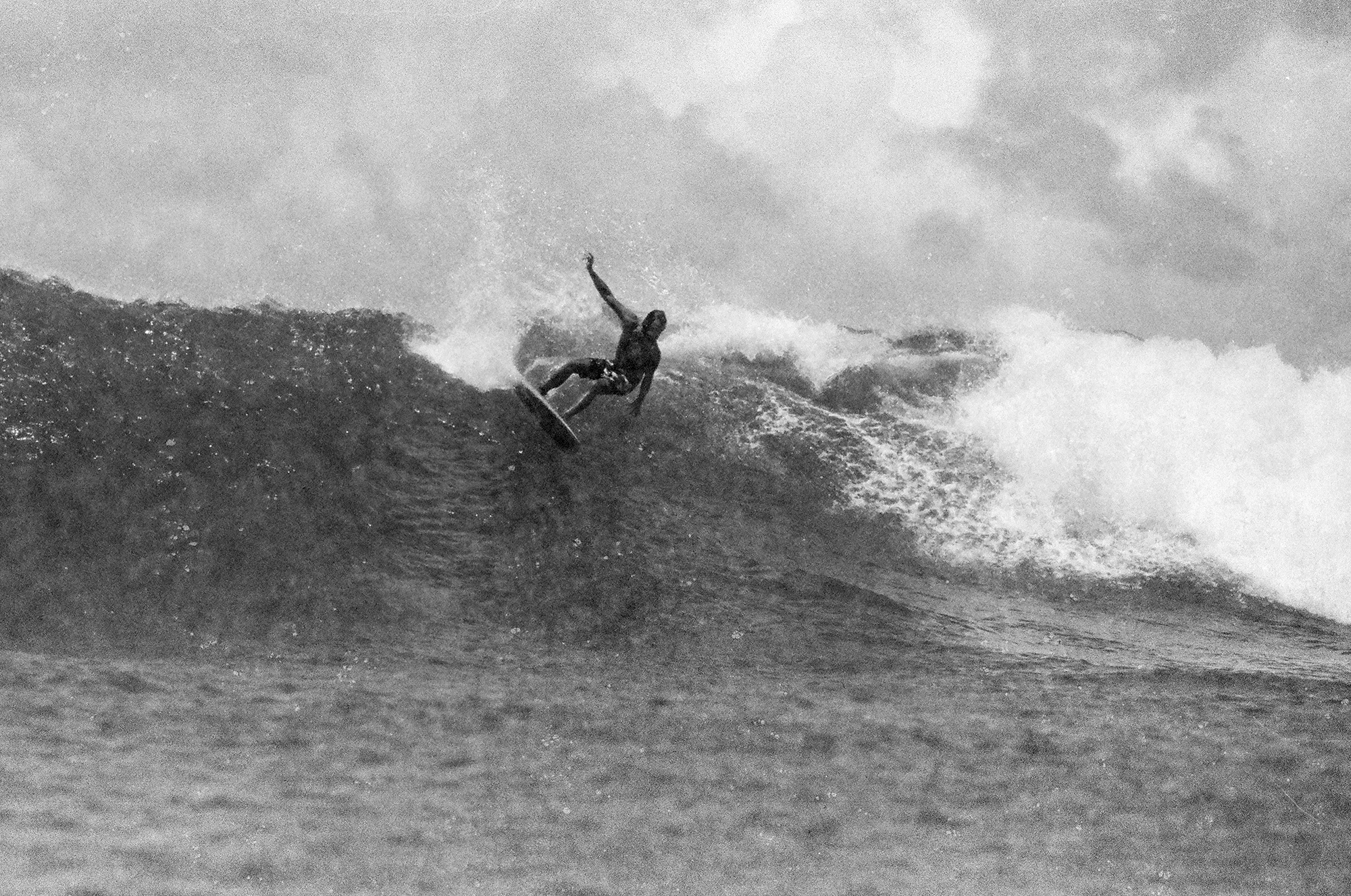 revolog Paper 400 - Image 3