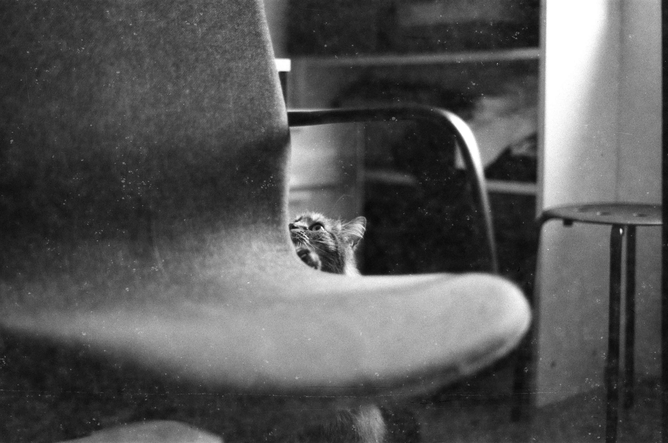 revolog Paper 400 - Image 4