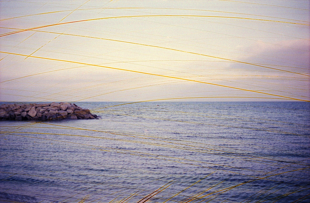 revolog Rasp 200 - Image 3