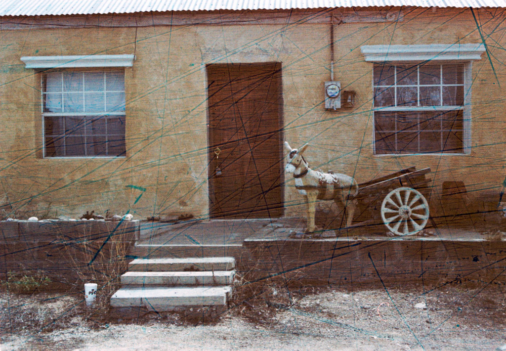 revolog Streak 200 - Image 2