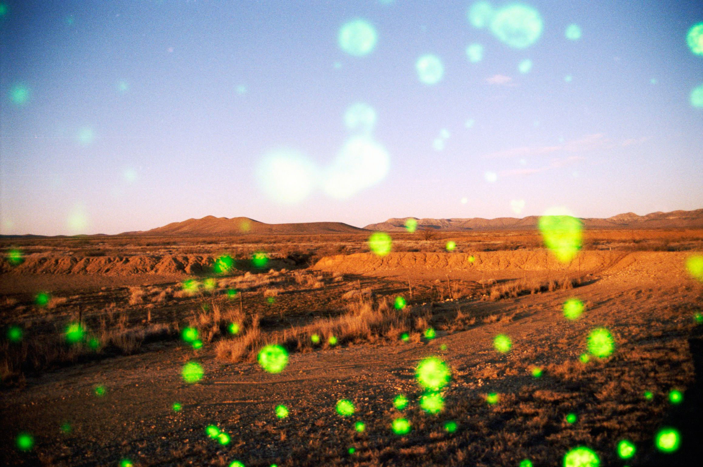 revolog Volvox 200 - Image 3