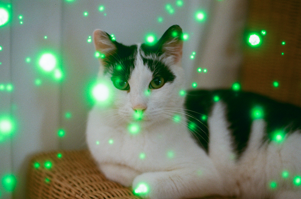 revolog Volvox 400 - Image 2