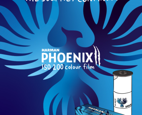 Launch-Post---Instagram