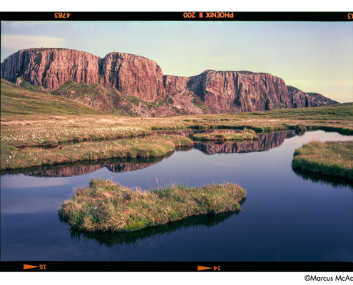 Marcus-McAdam2-Landscape