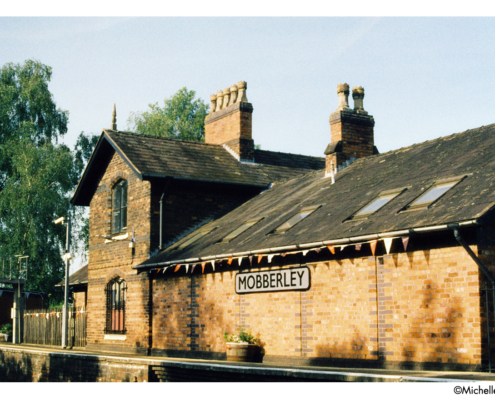 Michelle-Parr-Landscape